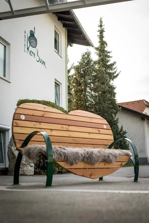 ***  Hotel Kern Buam Грац Австрия